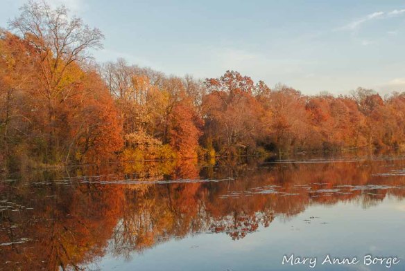 Spring Lake at Roebling Park, Abbott Marshlands, Hamilton Township, New Jersey