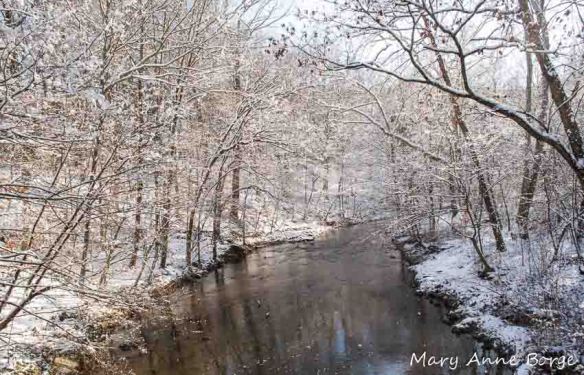 Bowman's Hill Wildflower Preserve, Pidcock Creek from the bridge