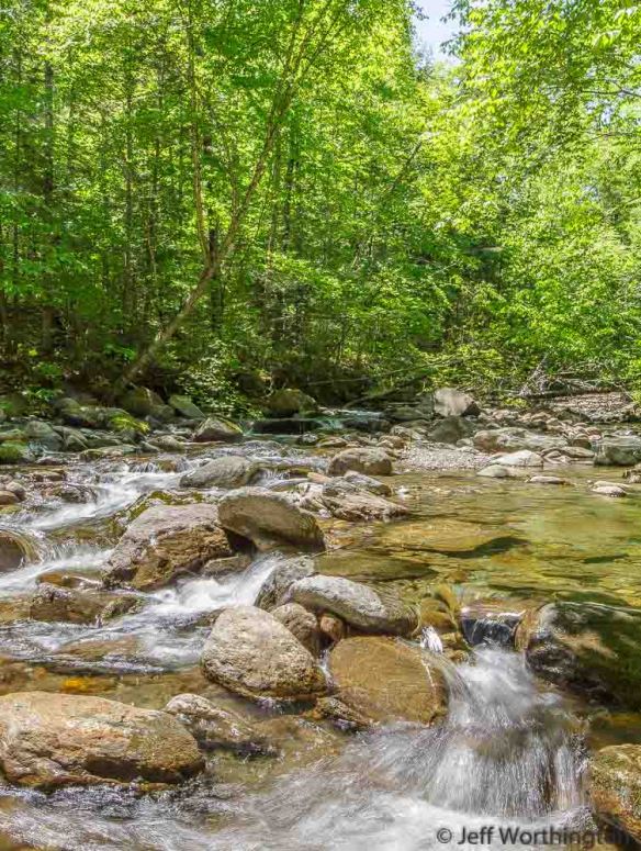 Stevenson Brook at Little River State Park