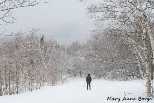 Trapp Family Lodge, Stowe, Vermont